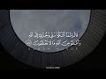 سورة يوسف بدون مؤثرات بصوت القارئ يوسف الحنبلي 
