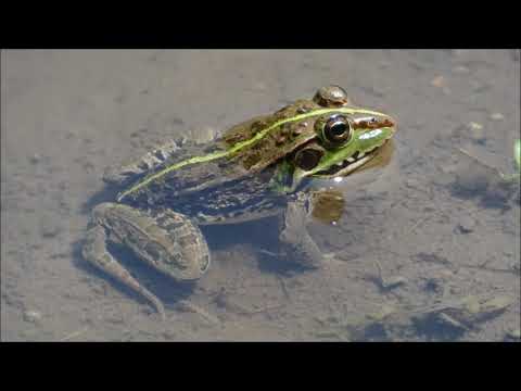 今日の棚田（2021年7月21日）