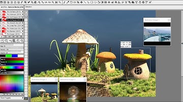 TwistedBrush Tutorials: Drawing Aids - Reference Images