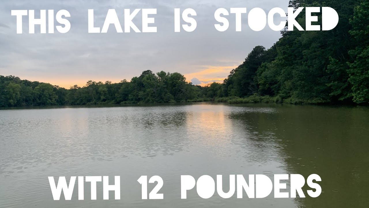 I HAD To Go Back!!! (PT.1)