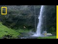 Keegan-Michael Key Descends a Waterfall  | Running Wild with Bear Grylls