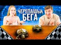 Устроили Черепашьи Бега. ИГРА НА НАКАЗАНИЕ