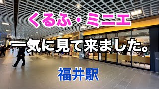 【超感激☆】大化けした福井の駅ナカ・駅前をサクッと徘徊｜くるふ福井駅｜フクマチブロック｜北陸新幹線開業後約2週間、こんなことになってました。｜アフレコあり