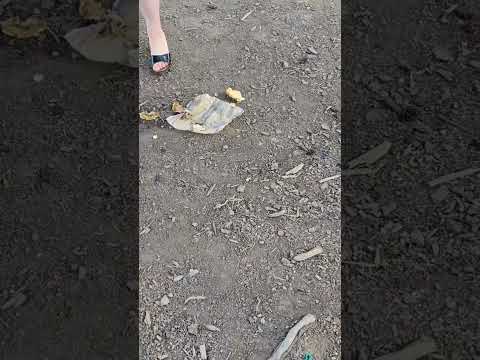 Mac double crush in heels #crushexperiment #asmrcrush #highheels #walking #foodcrush