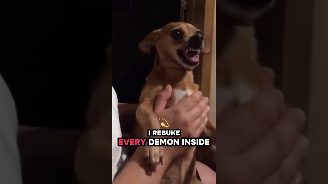 HOW TO CAST DEMONS OUT OF ANIMALS🚨😳 