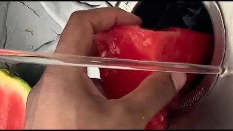 Rotten Food in Garbage Disposal (Compilation)