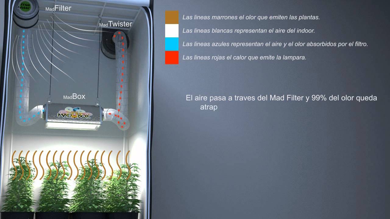 Basta de Lobby funcionamiento de Mad Filter, Mad Box y Mad Twister XL