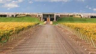 Bodega Del Fin Del Mundo Neuquén, Argentina Bodegadelfindelmundo.com Bodeganet