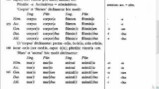 Lingua - 11.G - Reading Tutorial