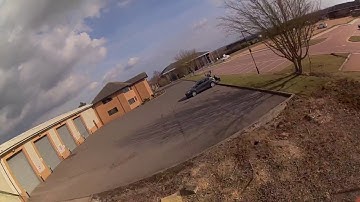 Chameleon puda clone x220 5 inch frame JUMPS BACK INTO TREE