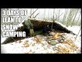 3 DAYS Of LEAN TO SNOW CAMPING: Freezing Temperatures, Small Projects, Outdoor Cooking