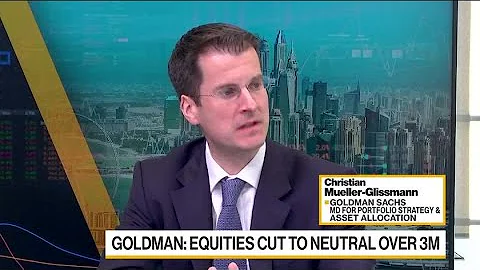Goldman's Muller-Glissman: Reluctant to Be Bearish...
