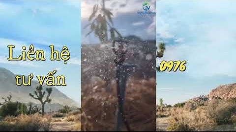 Béc tưới sầu riêng AQ206 bù áp 145 lít trên giờ ở Gia Lai (Việt An Nông)