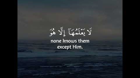 وَعِندَهُ مَفَاتِحُ الْغَيْبِ لَا يَعْلَمُهَا إِلَّا هُوَ | تلاوة خاشعة | طارق محمد