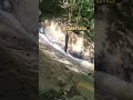 Beauty Of Maredumilli...#maredumilli #shorts #ytshorts