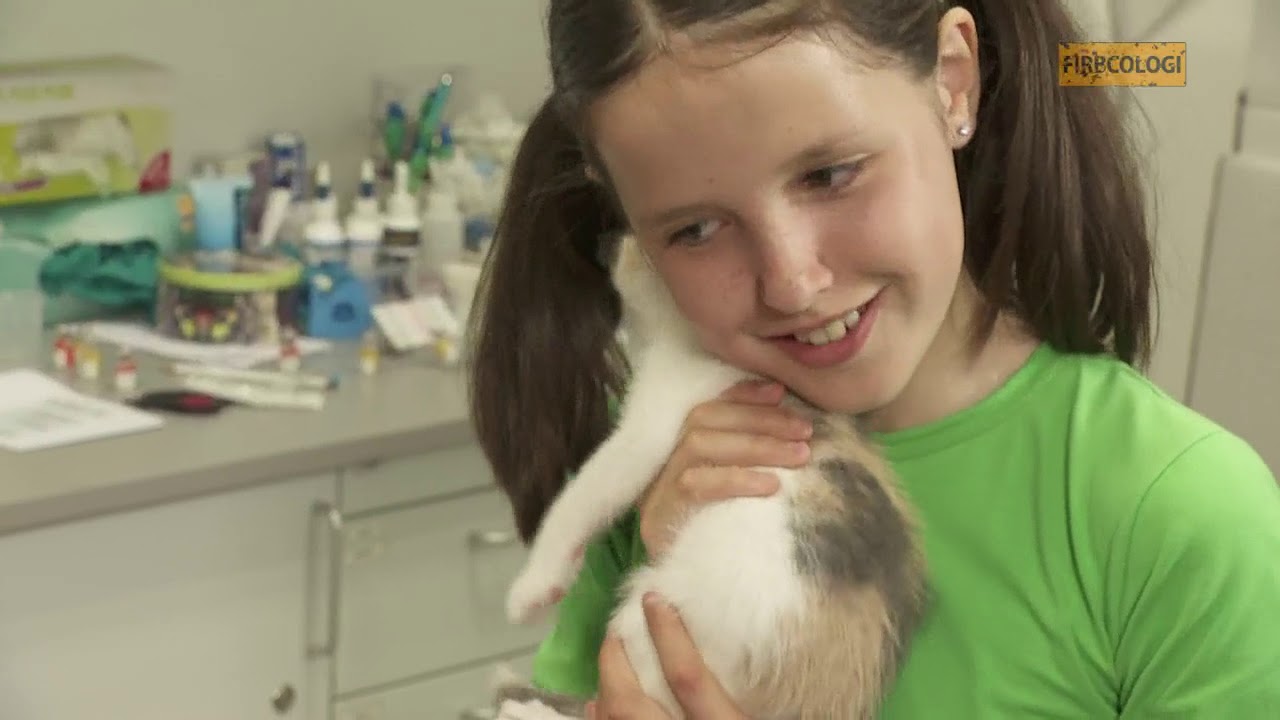 Firbcologi: veterinar