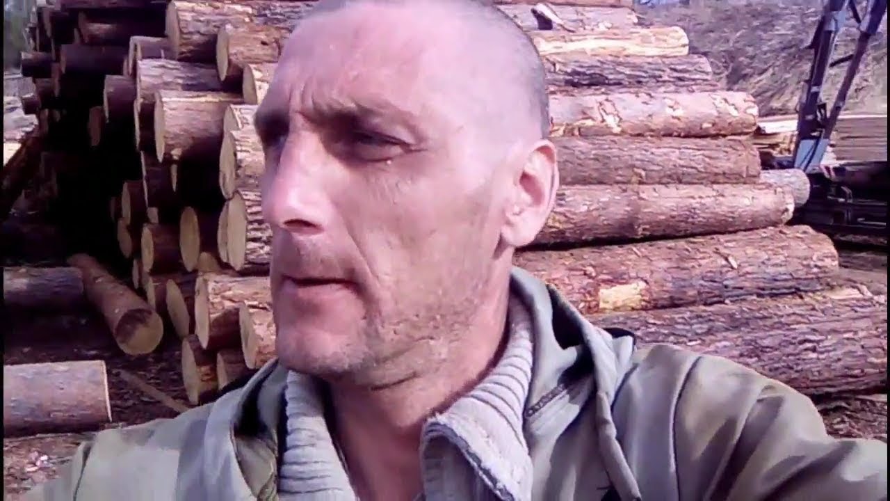 lumber แปล ว่า  Update  Work at a sawmill in Russia  [ I work as a slinger, sorting wood ]  Work after hours