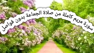سورة مريم كاملة من صلاة الجماعة بدون فواصل