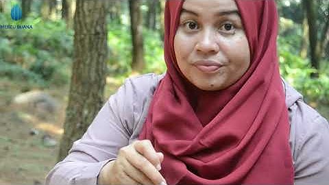 Go M.401 Mercu Buana MM Malam