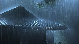  Rain and Thunder Sounds 24/7 - Dark Screen | Thunderstorm for Sleeping - Pure Relaxing Vibes