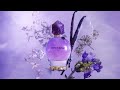 Good Fortune - Eau de Parfum - VIKTOR &amp; ROLF