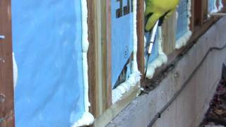 DIY Spray Foam Insulation - Poor Man's Spray Foam by Corey Binford 1,268,775 views 13 years ago 2 minutes, 7 seconds