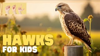 ASL Hawks for Kids