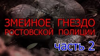 Змеиное гнездо ростовской полиции. Часть 2 | Аналитика Юга России