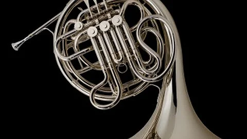 Hindemith Sonata for Horn and Piano: Lee Bracegird...