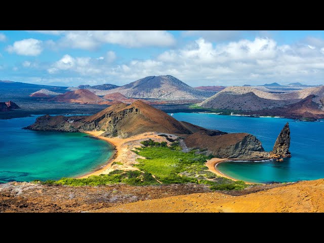 The Galapagos Island's Incredible Natural Habitat | Wild Galapagos class=