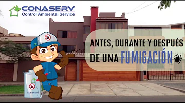 ¿Qué no hacer después de la fumigación?