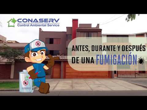 Video: Cómo lidiar con las cucarachas en los edificios de apartamentos