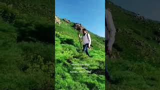 Helbest, Xizan Şîlan, Xwendin Dilbirîn Jêhat, Ez Westandim