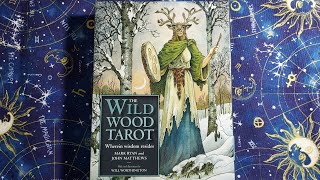 Unboxing The Wild Wood Tarot by Mark Ryan and John Matthews