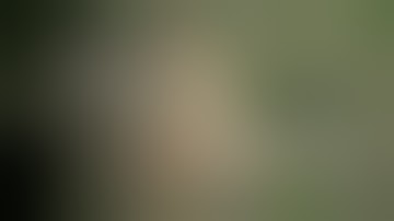 Emerald Exchange Organics: week 4 update Scrog net for 8 Strains