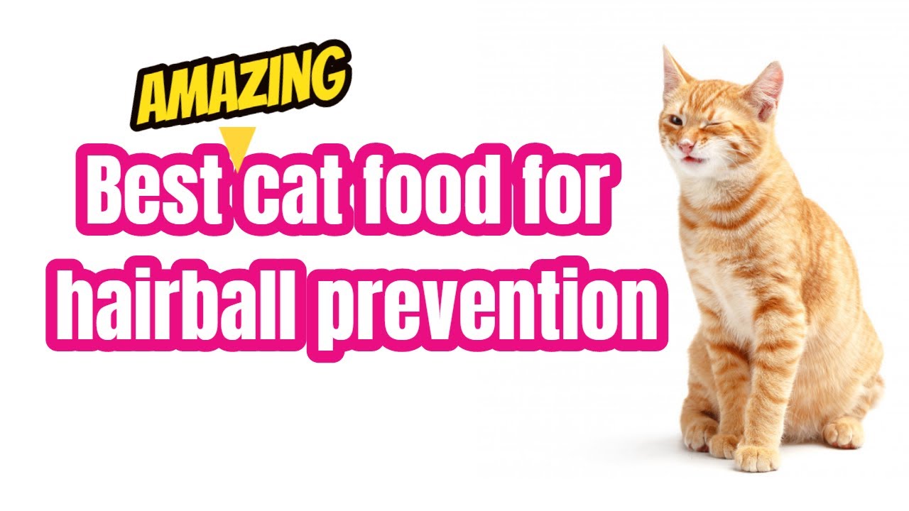 5 Best Proven Cat Foods For Hairball Prevention