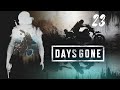 Days gone ps4  23  de la levure pour sarah lets play fr