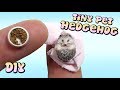 How To Mini Pet Hedgehog Tutorial // DIY Miniature Doll/Dollhouse