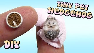 How To Mini Pet Hedgehog Tutorial // DIY Miniature Doll/Dollhouse