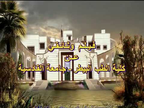 وثائقي عن كلية الطب البيطري جامعة القادسية
