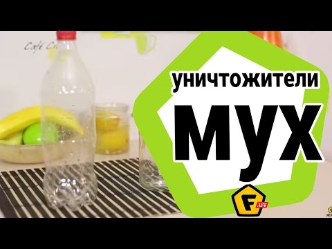 2 НАДЕЖНЫХ СПОСОБА как избавиться от мух и мошек на отдыхе ✔как избавиться от мошек в квартире