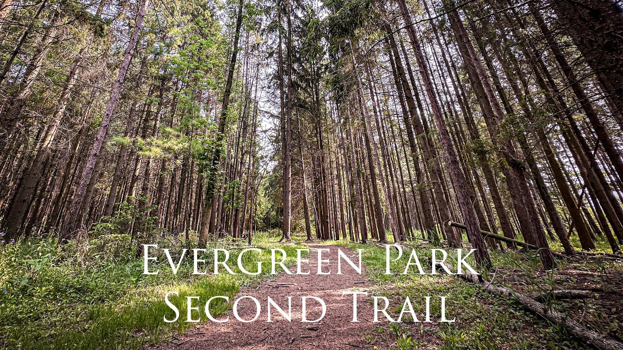 Hiking Another Trail at Evergreen Park in Sheboygan, WI YouTube