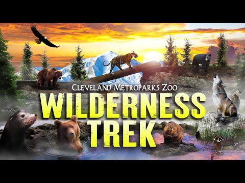 Zoo Tours: The Cleveland Metroparks Zoo's Wilderness Trek