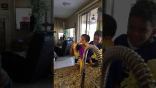 Pie in the face pt2 xmas 2017