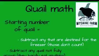 Quail math! How much does a quail consume in feed and MUCH MORE! #quail #raisingquail #myshirefarm