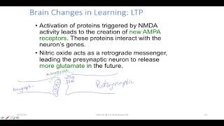 Chapter12Video4