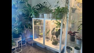 PLANT ROOM UPDATE - PART 2 (MILSBO WIDE)