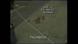 1978 mob hits across the New York City area screenshot 4