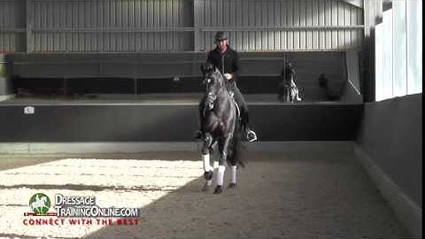 Dressage training by Gareth Hughes - How to do the canter half pass