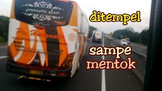 Download Lagu ALFARRUQ ngejar 2 Haryanto,nempel 3cm Zigzag sampe mentok MP3 Download Lagu ALFARRUQ ngejar 2 Haryanto,nempel 3cm Zigzag sampe mentok MP3